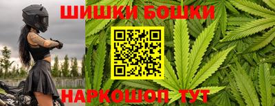 стаф Заводоуковск