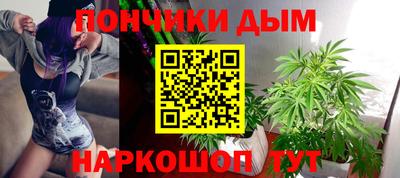 стаф Заводоуковск