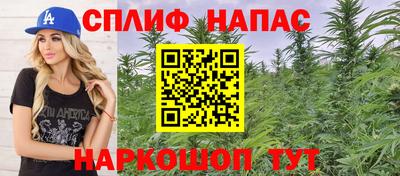 стаф Заводоуковск