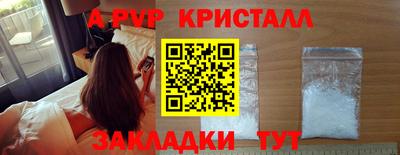стаф Заводоуковск