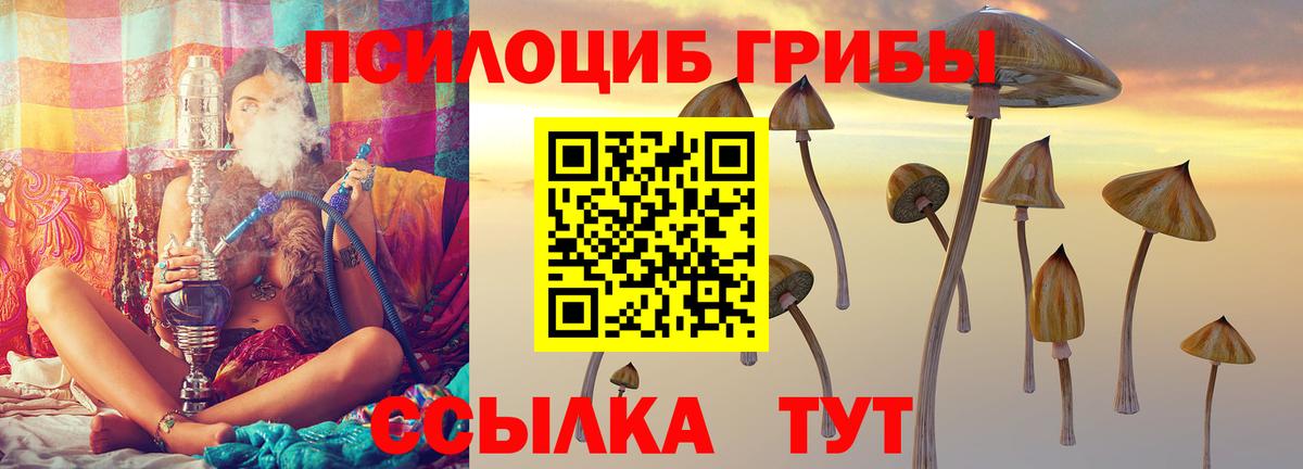 Псилоцибиновые грибы Psilocybine cubensis  Вход с VPN  Магадан 
